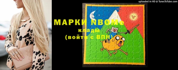 apvp Вяземский