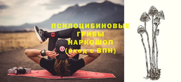 альфа пвп Горняк