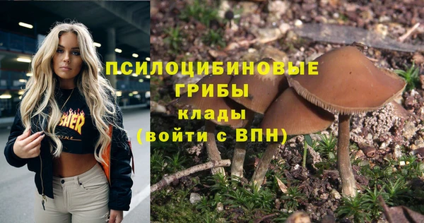 apvp Вяземский