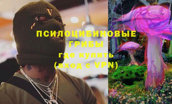 метадон Горнозаводск